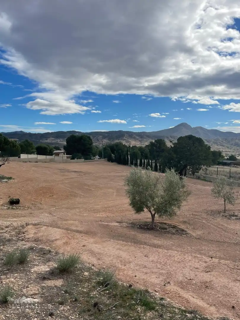 Casa o xalet en venda en Jumilla amb Terrassa