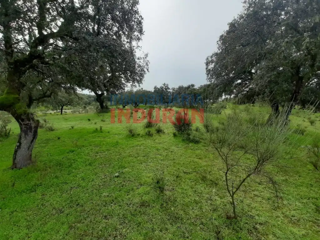 Finca rústica en venta en Millanes