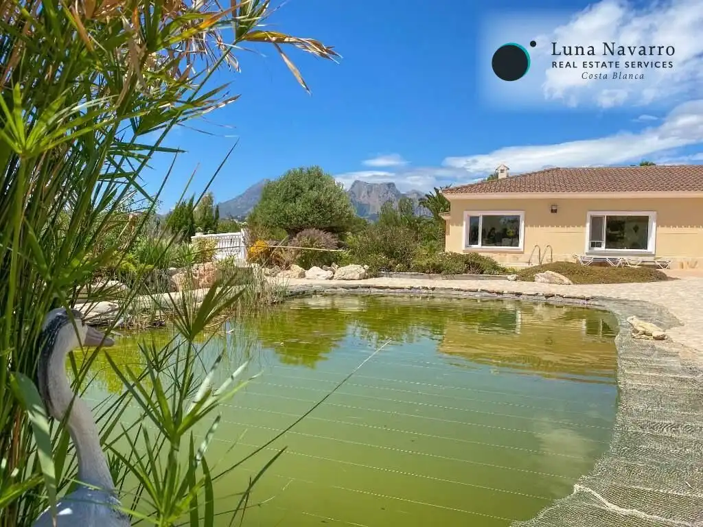 Casa con piscina en venta en Partida barranquet, imagen 39