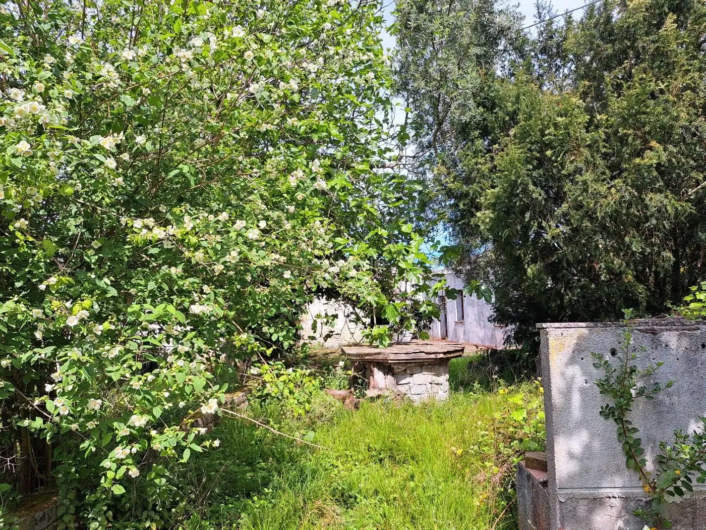 Casa en venta en Poblado Abaño 57, imagen 7