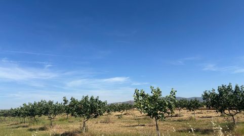 Finca Rúst. en venta en Ciudad Real., imatge 2