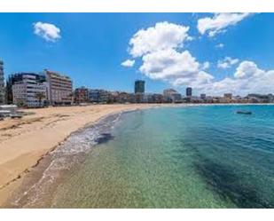 Exterior view of Flat to rent in Las Palmas de Gran Canaria