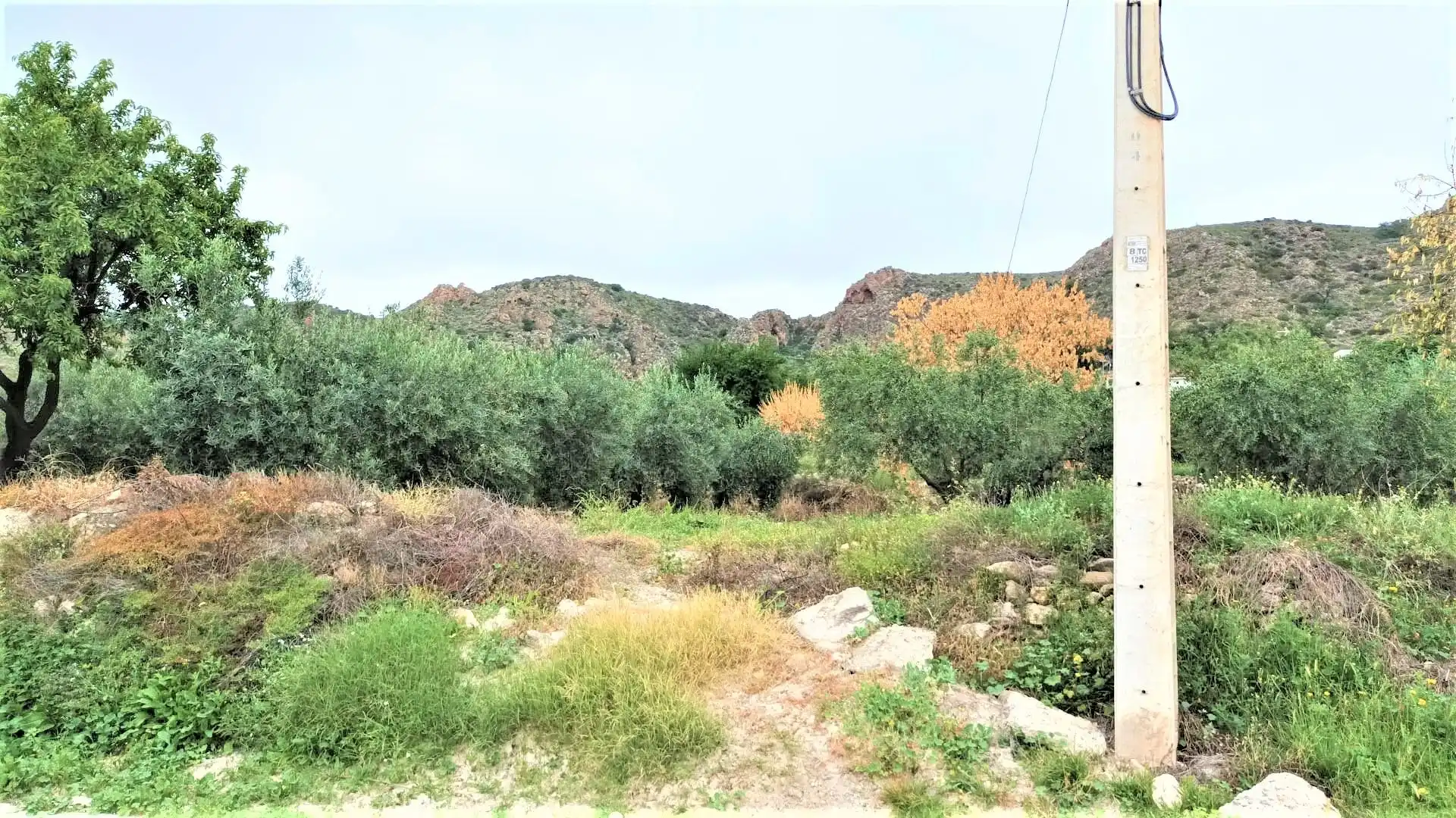 Maison à vendre à Calle la Mela, imagen 14