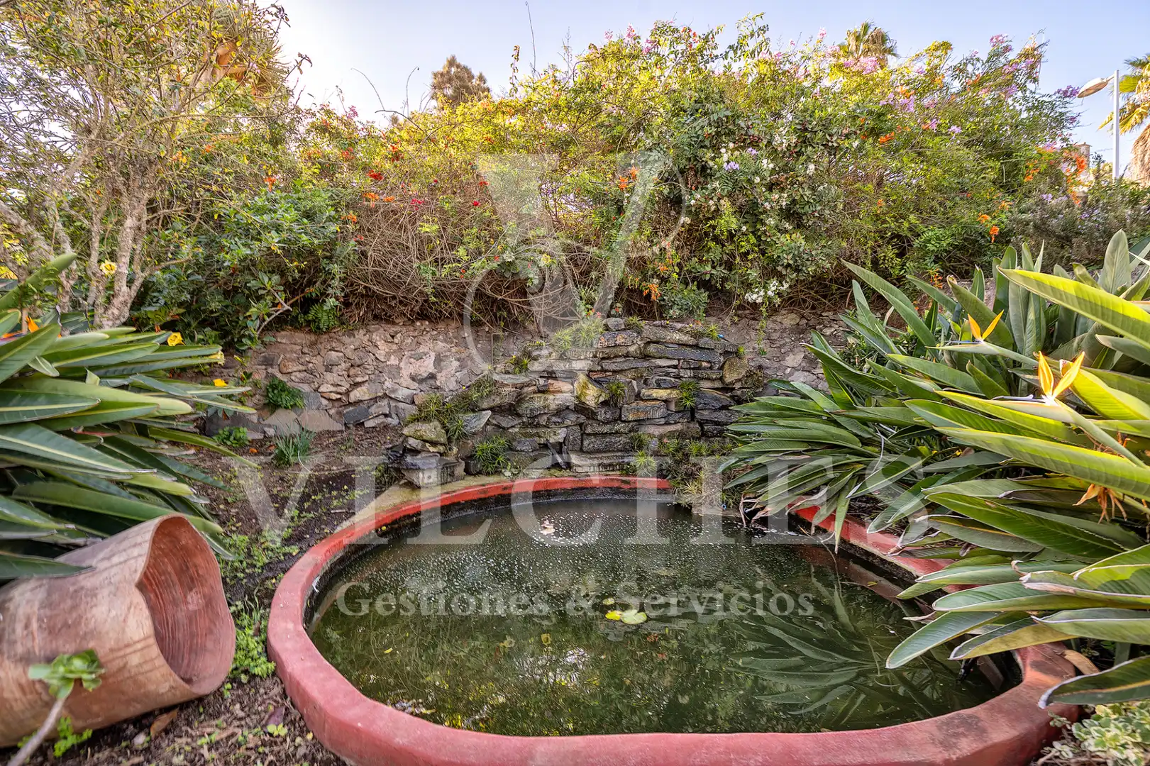 Jardí de Casa o xalet en venda en Santa Brígida amb Jardí privat, Terrassa i Traster