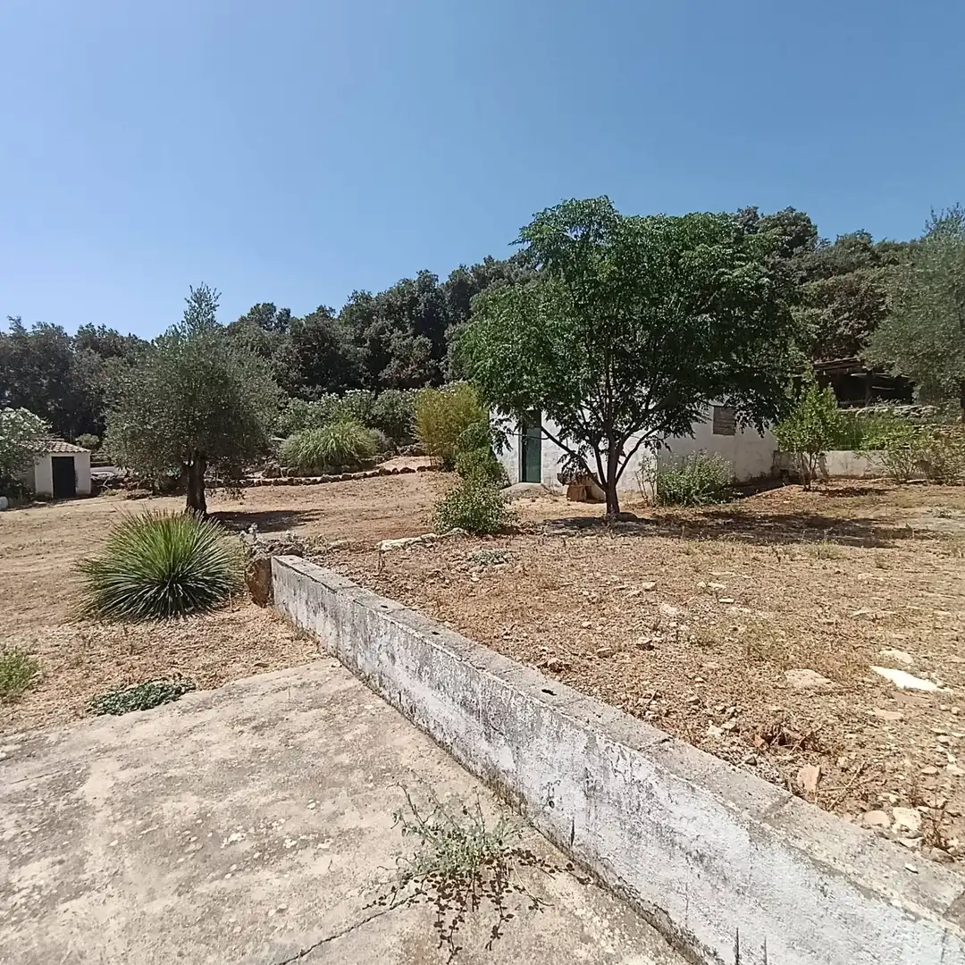 Casa rústica amb terrassa en venda a Loja, imagen 15