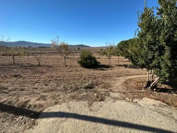 Villa avec piscine à vendre à Monóvar  / Monòver, imagen 45