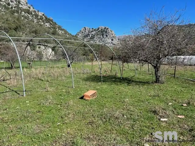 Terreni e lotti in vendita a Benaocaz, imagen 41