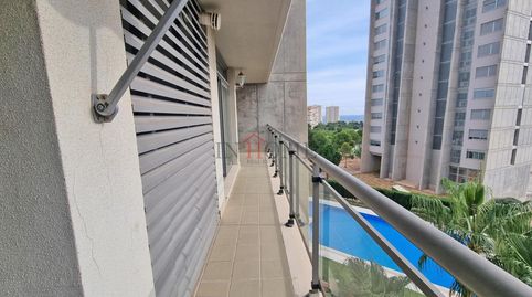 BenidormApartamento, imagen 2