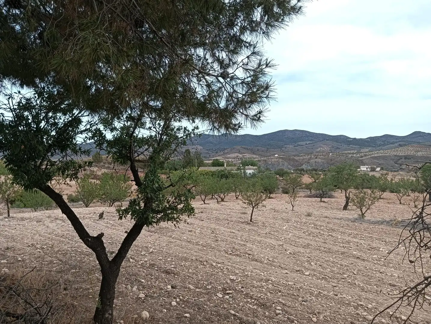 Casa en venda a Lorca Ciudad, imagen 66