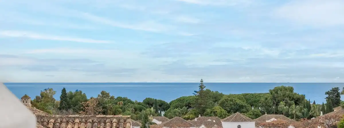Exterior view of Detached homes for sale in Marbella  with Air Conditioner, Private garden and Terrace