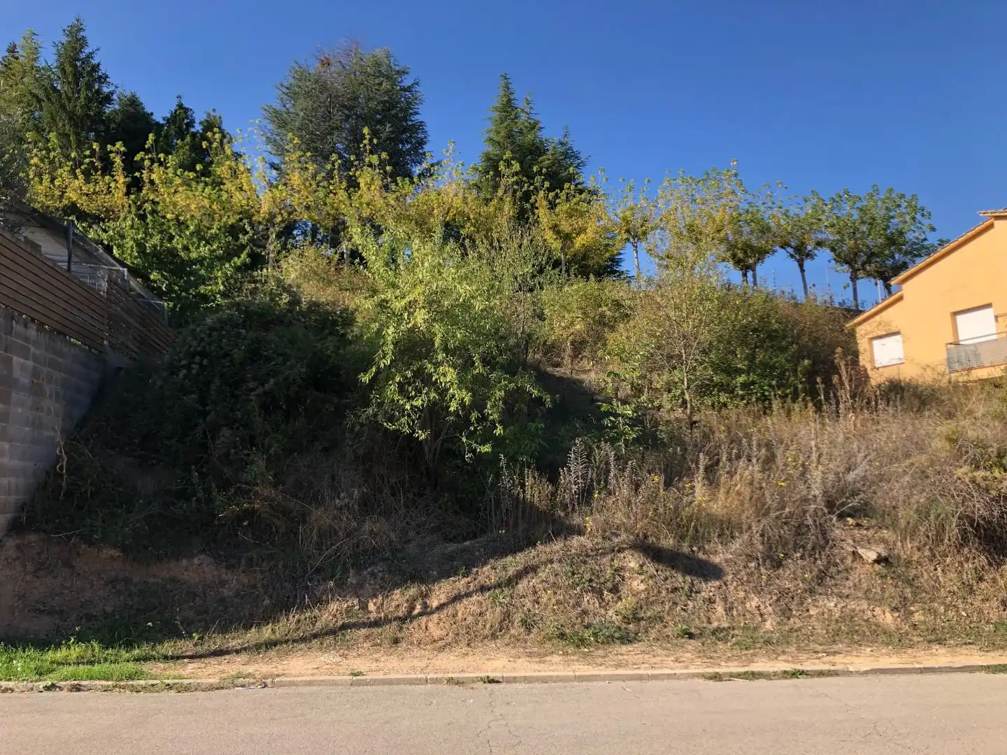 Terreno residenziale in vendita a Solsona, imagen 2