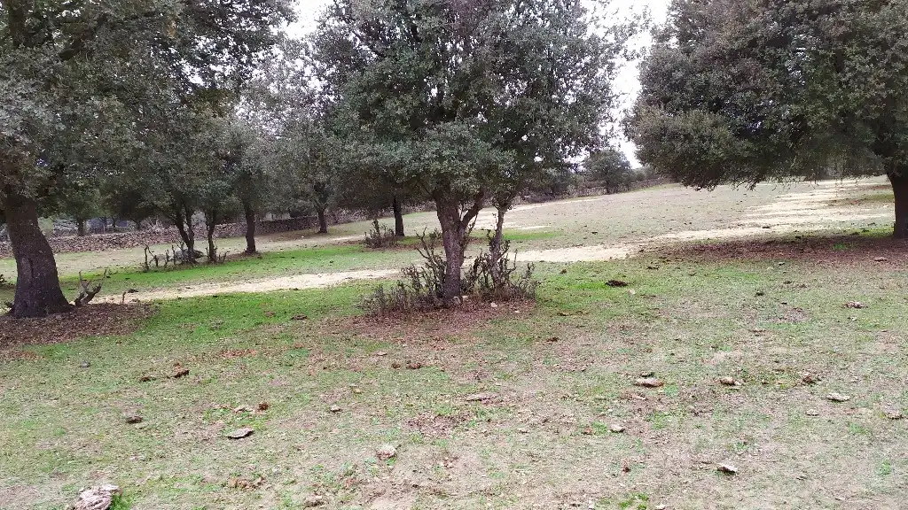 Terreni e lotti in vendita a Fresnedilla, imagen 2