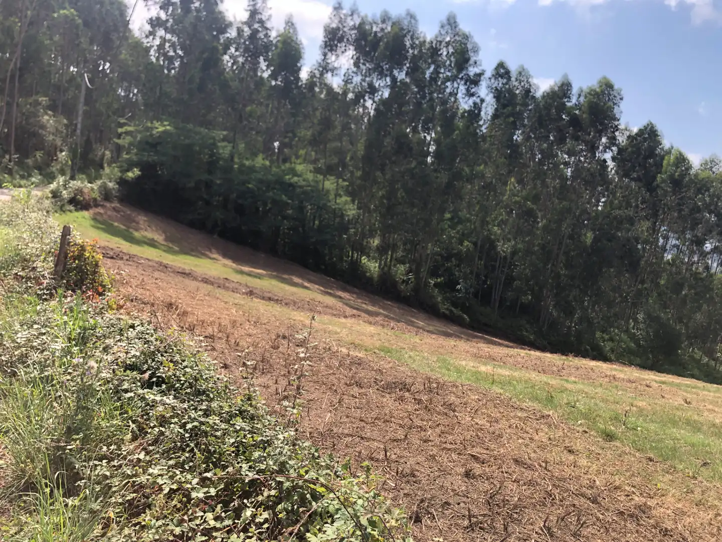 Finca rústica en venda en Villaescusa (Cantabria) amb Jardí privat