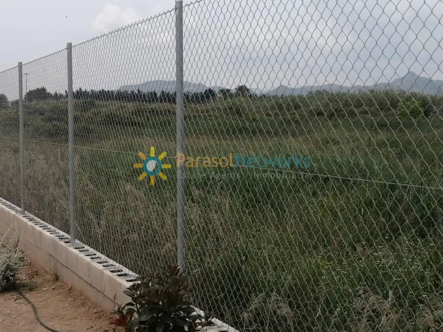 Rural land for sale in Guardamar de la Safor, imagen 7