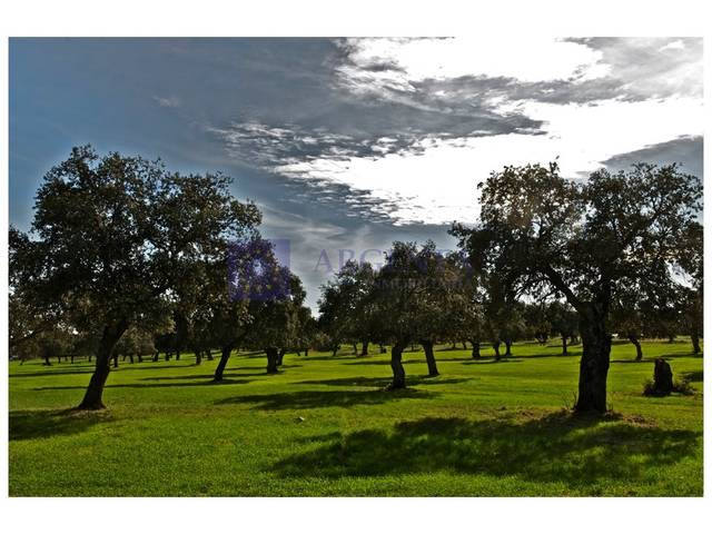 Casa-chalet en Venta en Trujillo