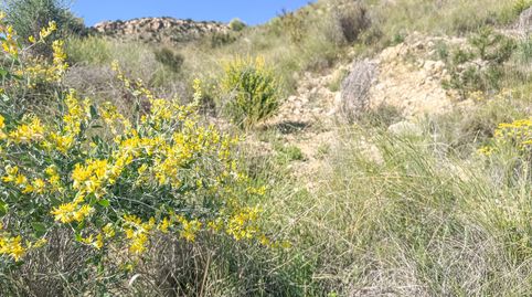 Foto 5 de Residencial en venta en Jubalcoi, Elche / Elx