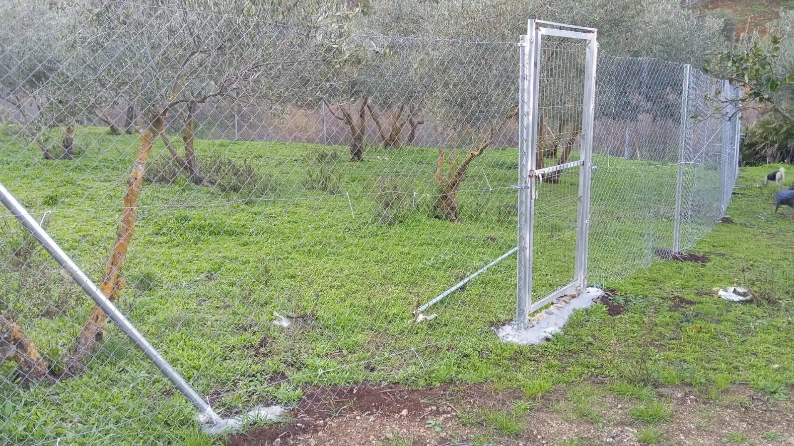 Casa rustica in vendita a Camino Los Guaperos , Paraje Majada Llana,, imagen 13