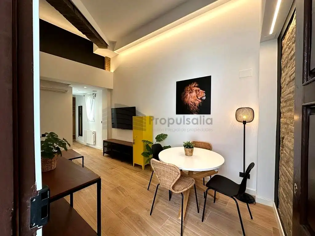 Sala de estar de Ático de alquiler en  Zaragoza Capital con Aire acondicionado, Calefacción y Amueblado