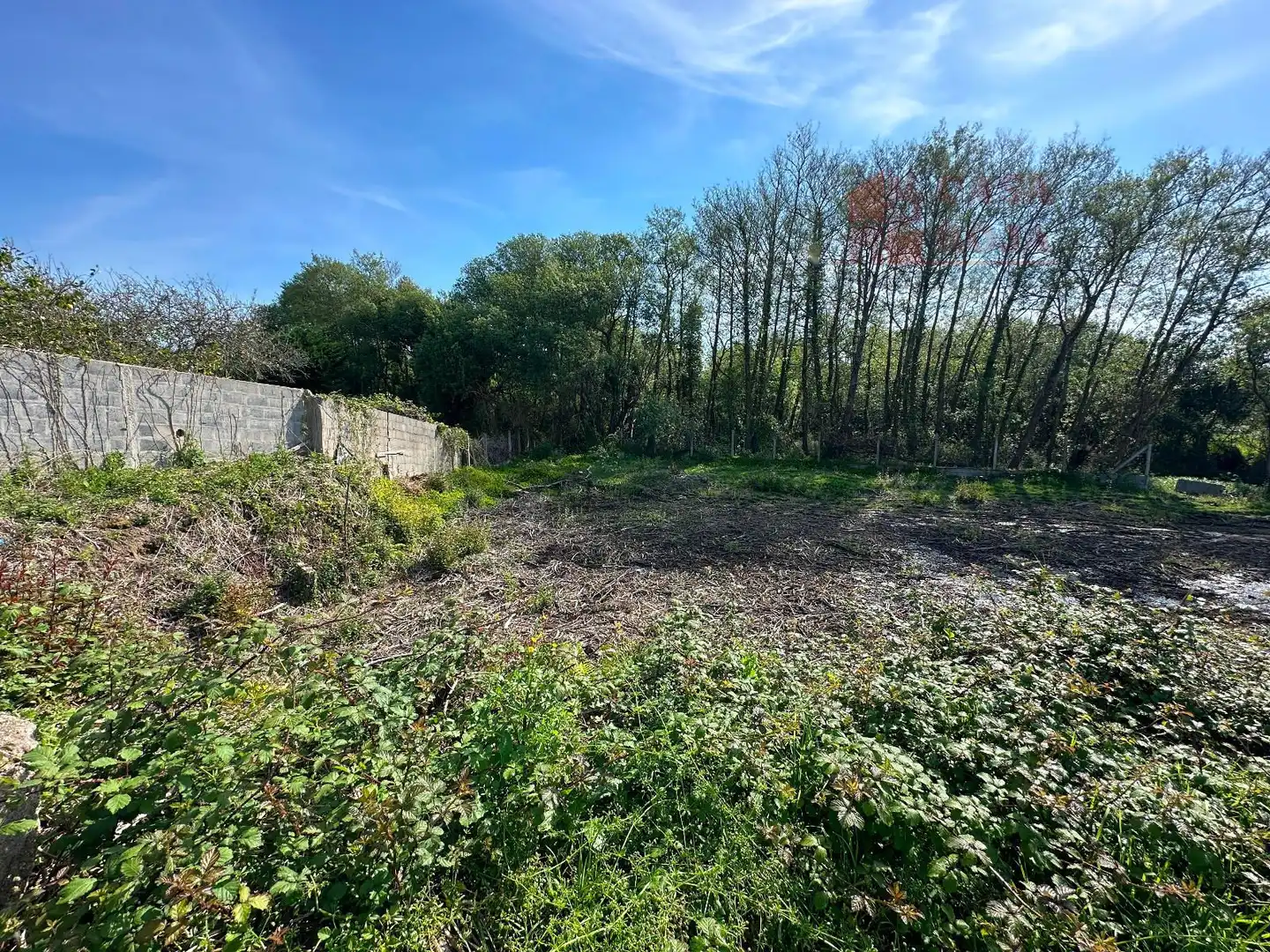 Lands and plots for sale in Darbo, imagen 2