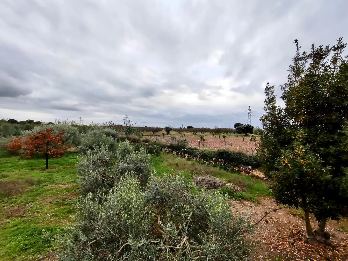 Land for sale in Vilallonga del Camp