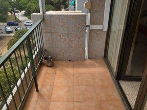 Photo 5 of Flat for sale in Polígon de Llevant, Illes Balears