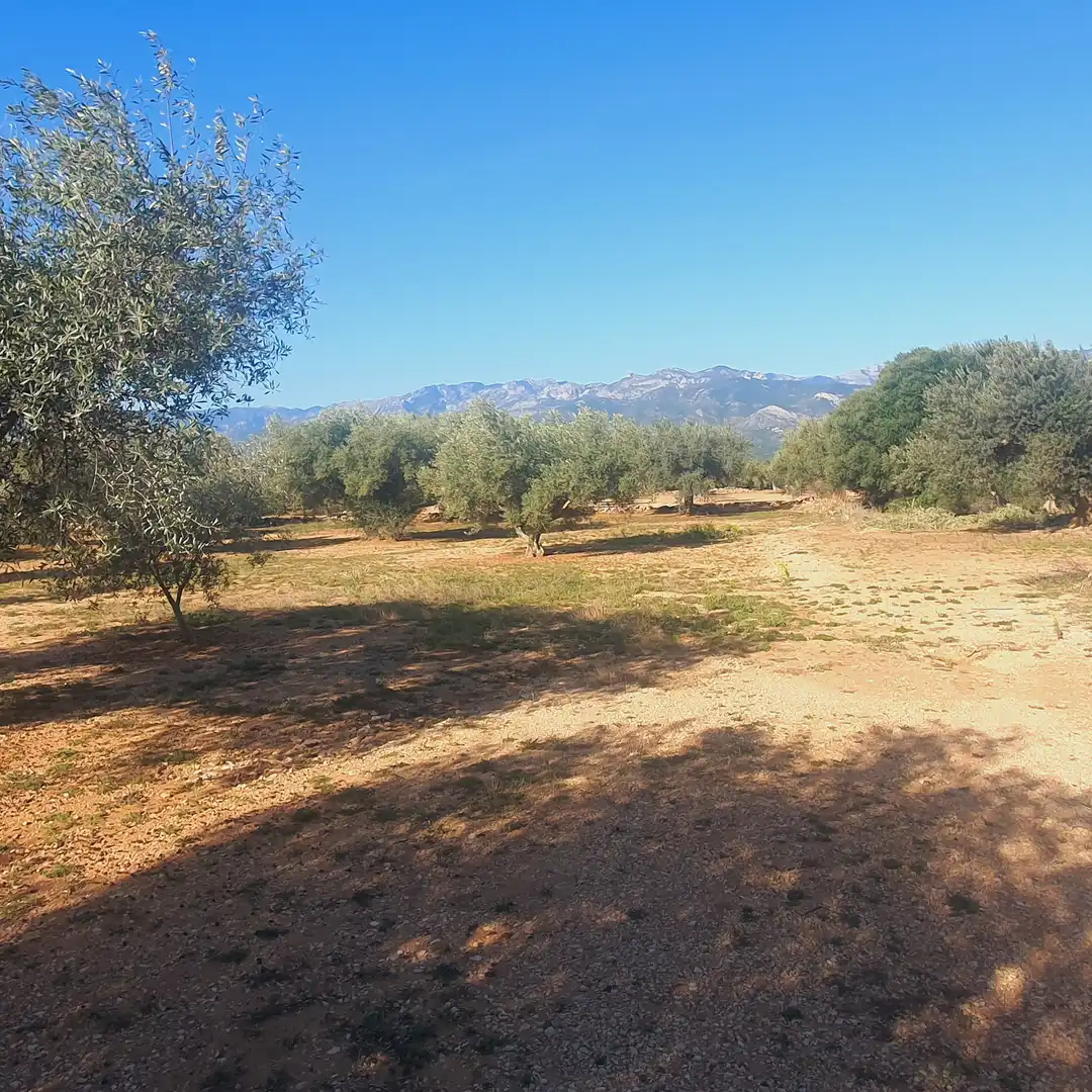 Terrain rustique à vendre à Tivenys, imagen 25