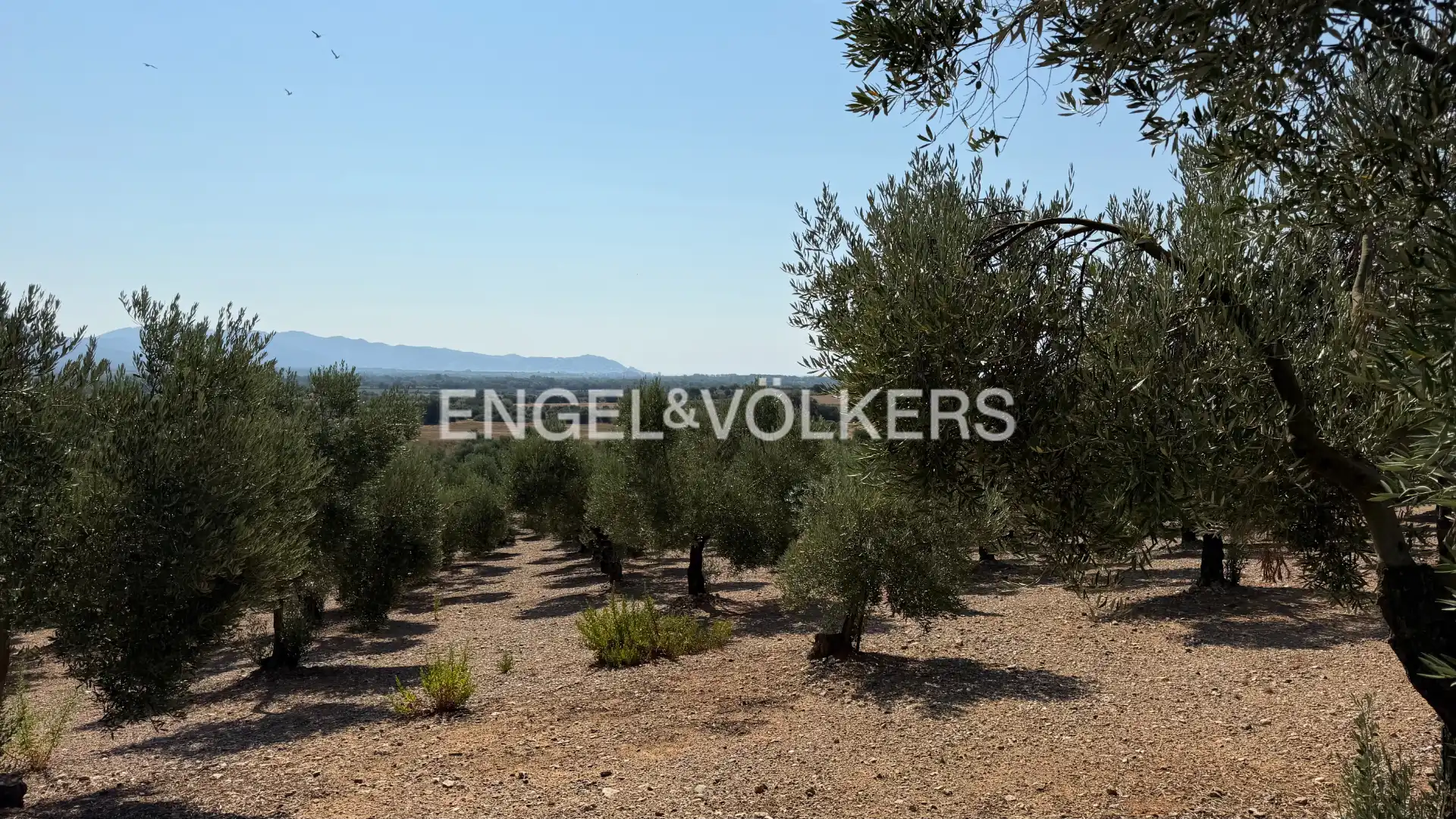 Land for sale in Pedret i Marzà