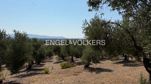 Foto 2 de Terreny en venda a N/a, -1, Pedret i Marzà, Girona
