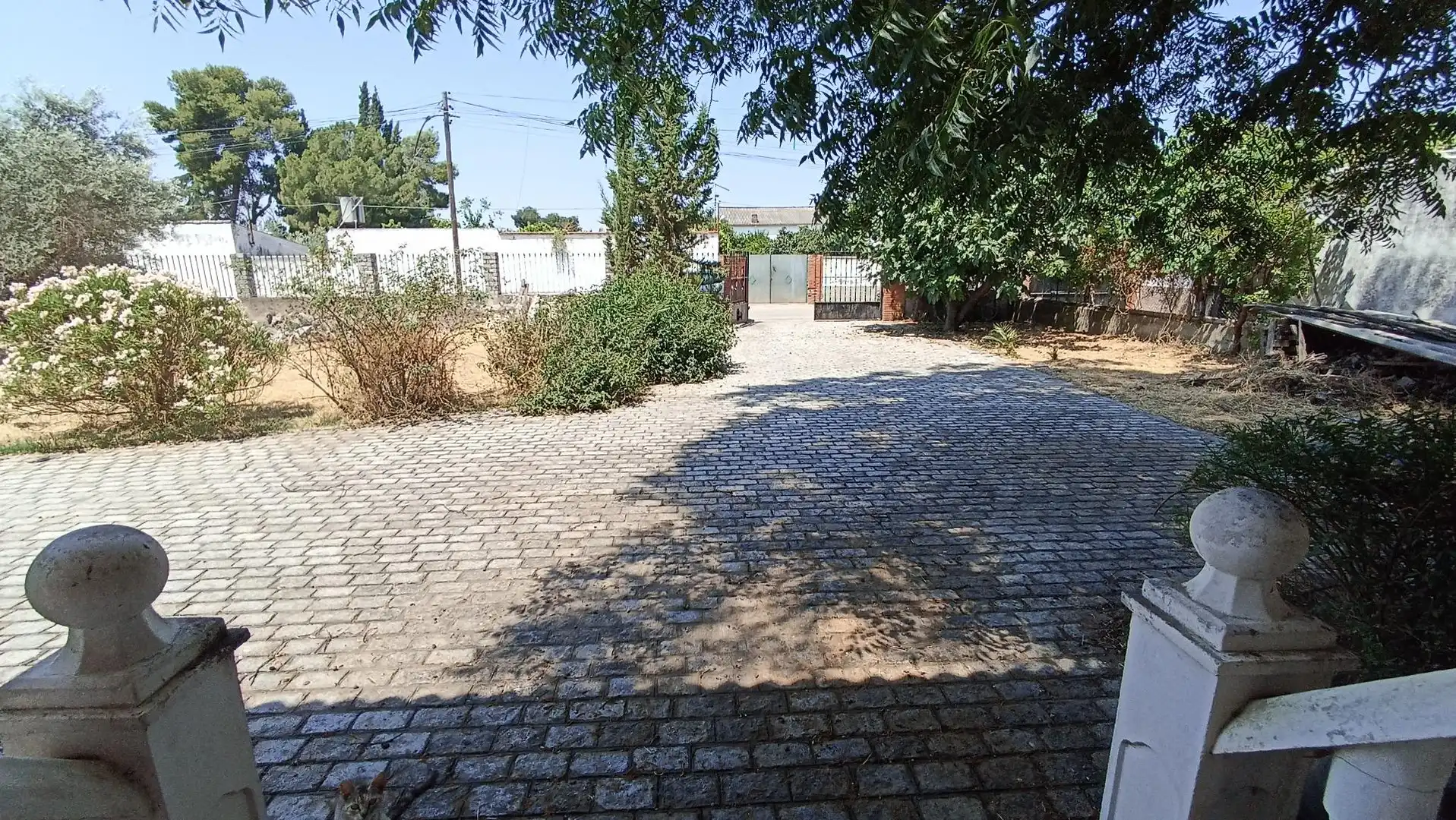 Vista exterior de Finca rústica en venta en Córdoba con Jardín privado, Terraza y Amueblado