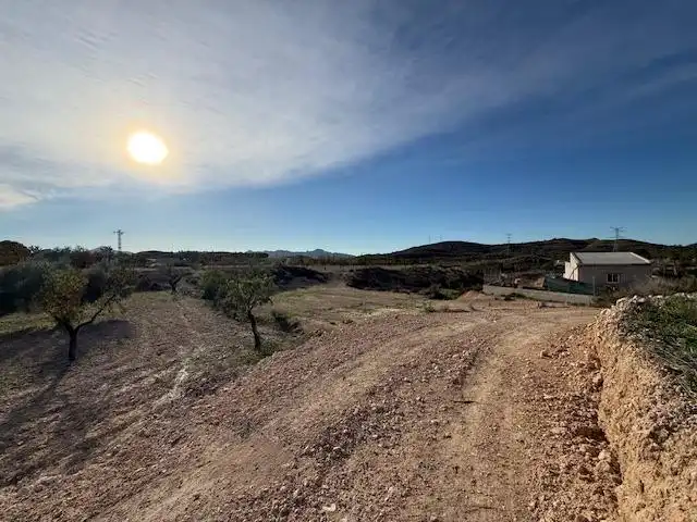 Lands and plots for sale in Abanilla, imagen 17