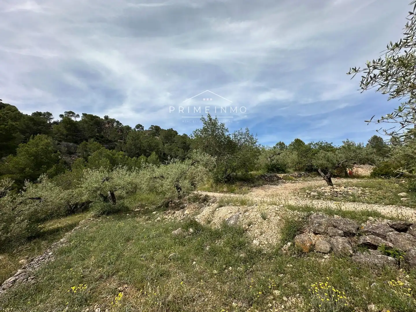 Terreno rústico en venta en L'Ametlla de Mar pueblo, imagen 27