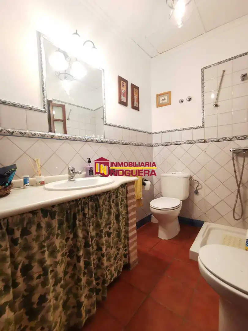 Bany de Casa o xalet en venda en Écija amb Aire condicionat, Terrassa i Traster