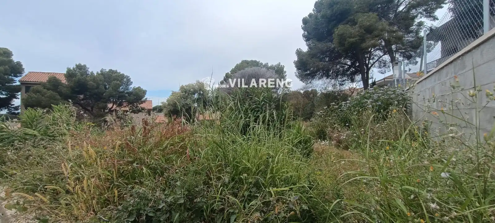Rural land for sale in SAL, imagen 3