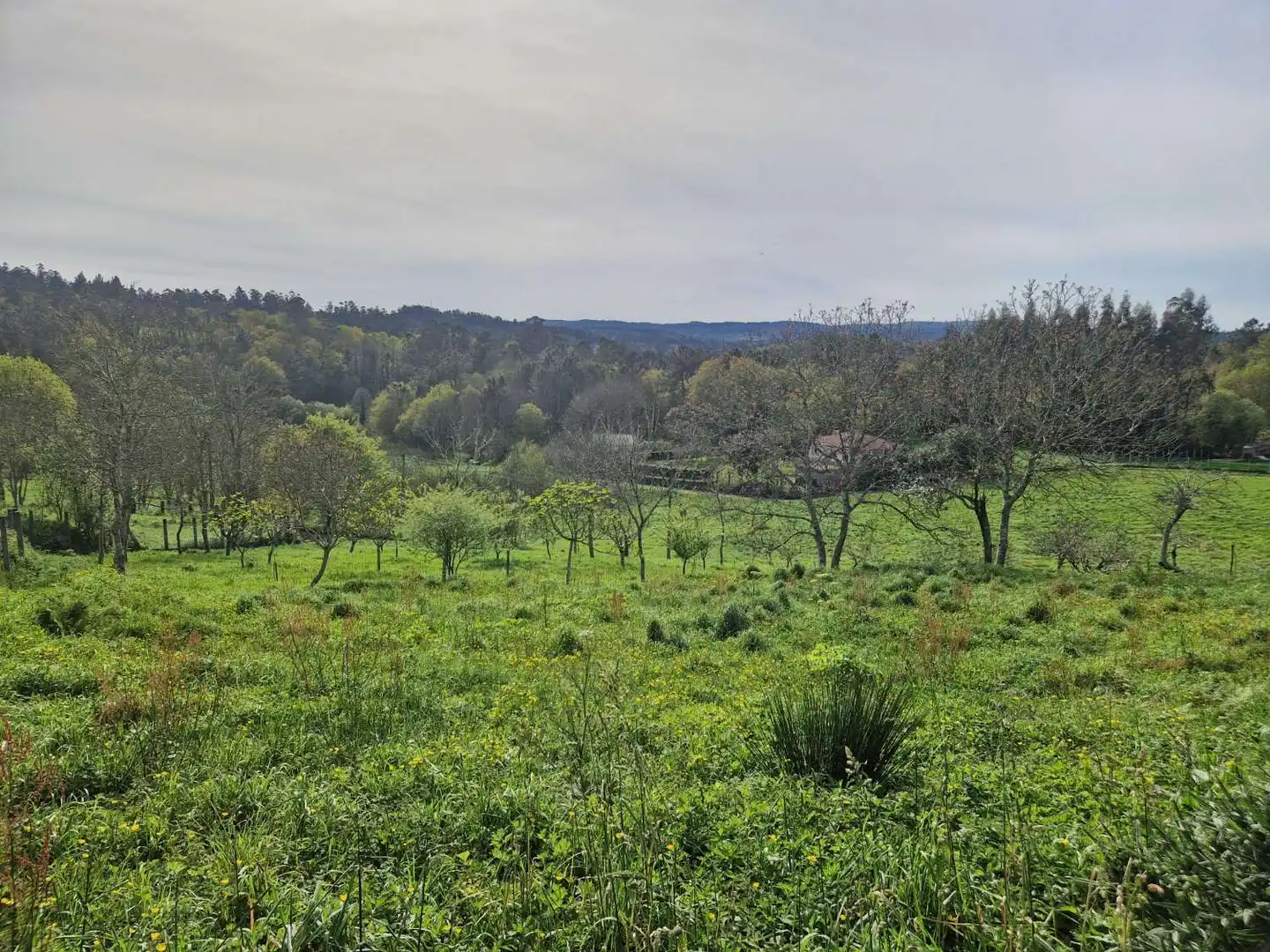 Grundstücke und Bauplätze zum Verkauf in Área de Ames, imagen 4
