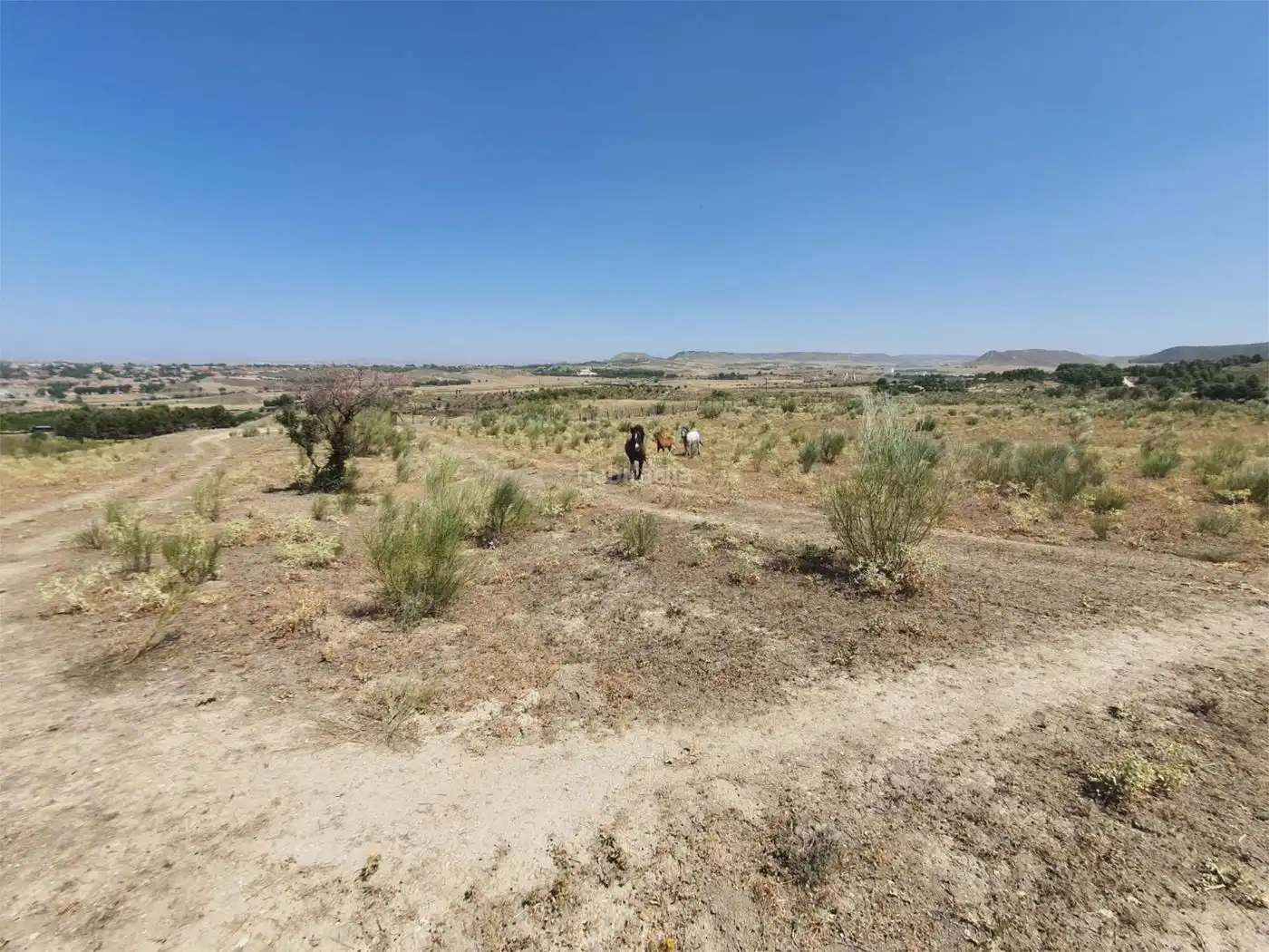 Haus zum Verkauf in Camino de la Isabela 76, imagen 2