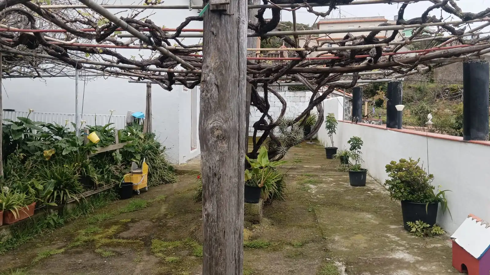 Casa o xalet en venda a La Vega - El Amparo - Cueva del Viento