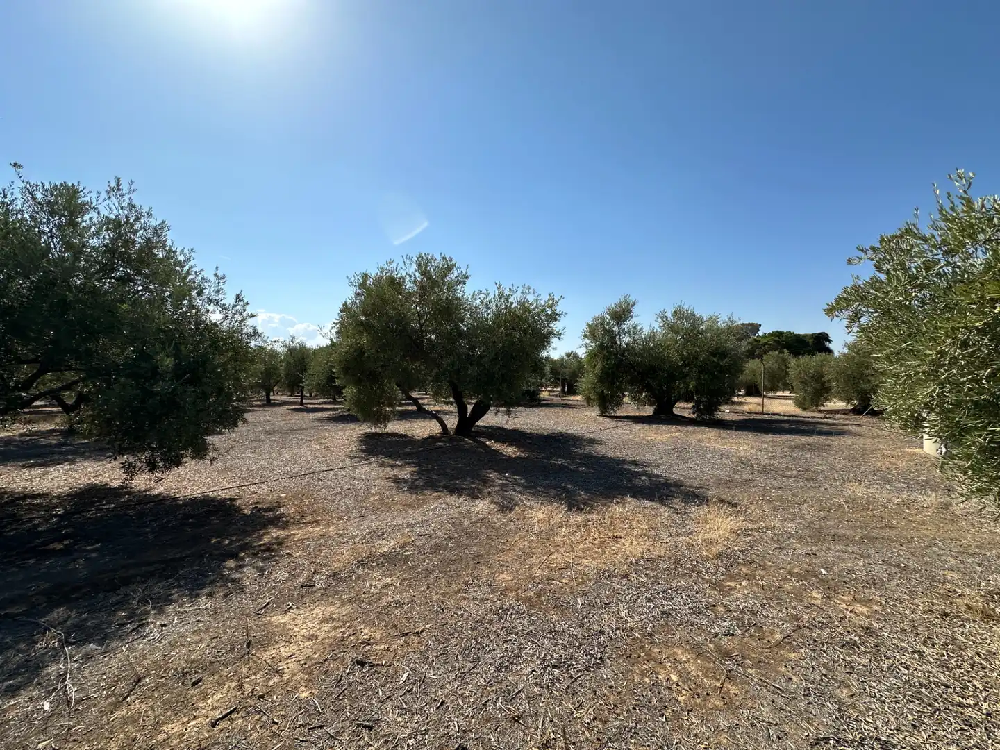 Casa o chalet en venta en Úbeda con Aire acondicionado, Jardín privado y Terraza