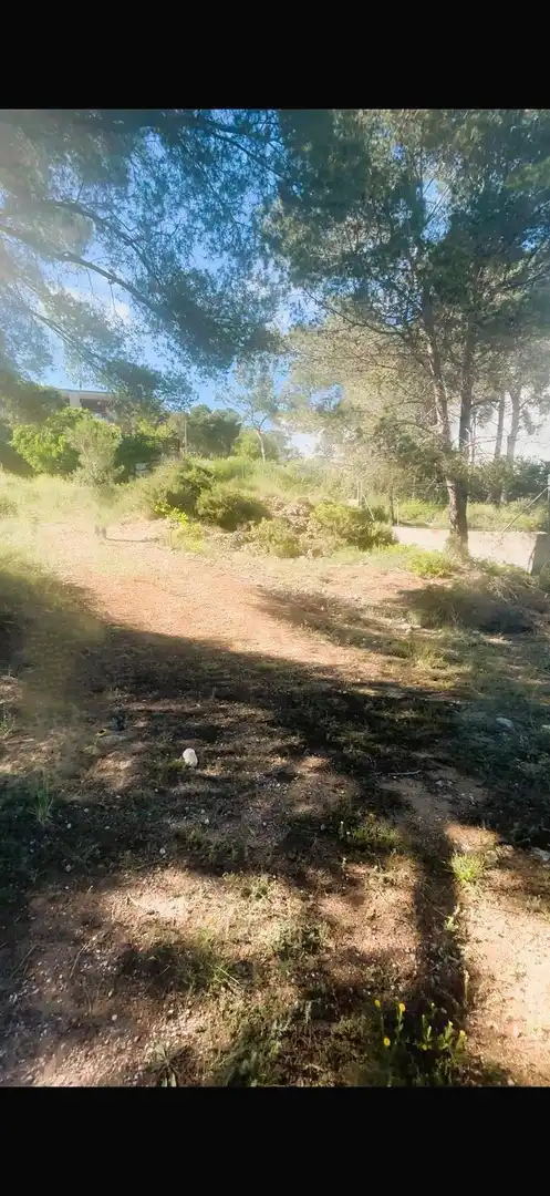 Terrain rustique à vendre à Canyelles, imagen 3