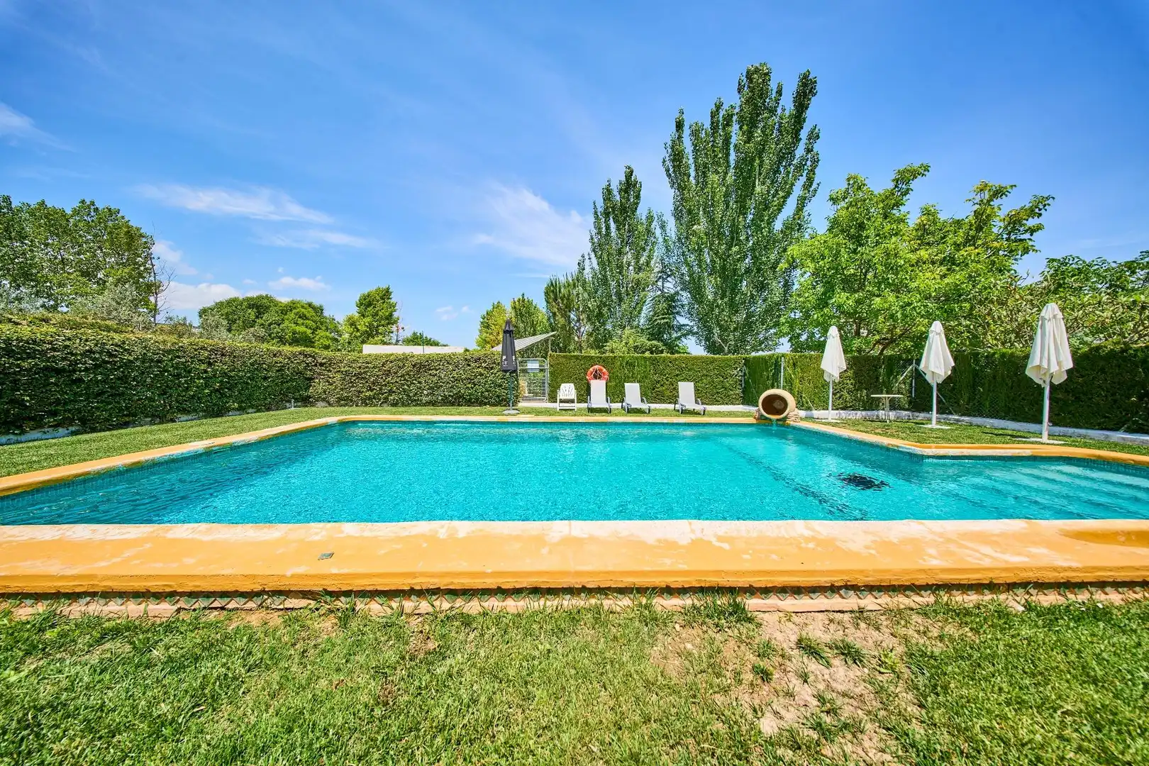Piscina de Finca rústica en venta en Caniles