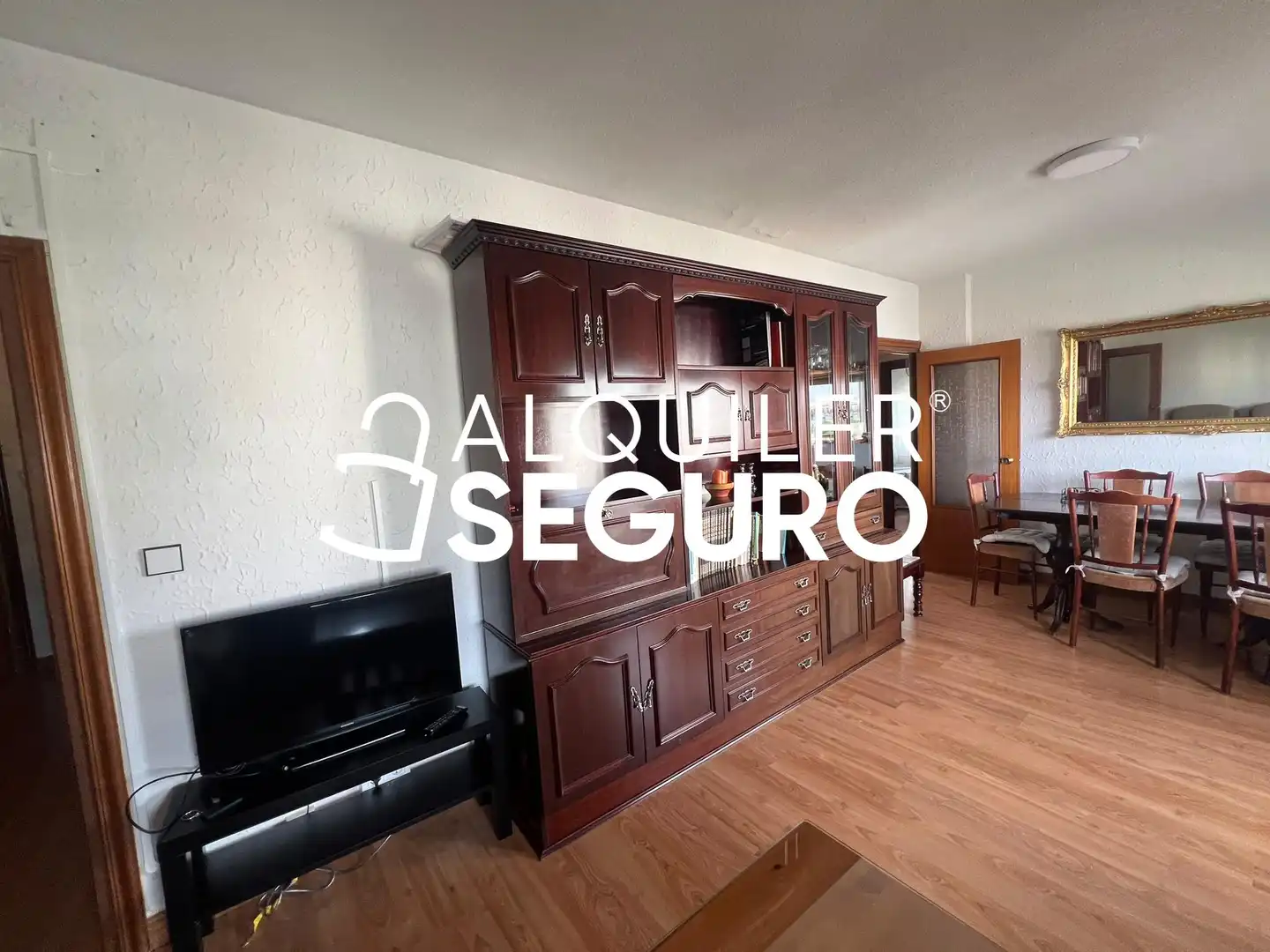 Sala de estar de Piso de alquiler en Madrid con Calefacción y Amueblado
