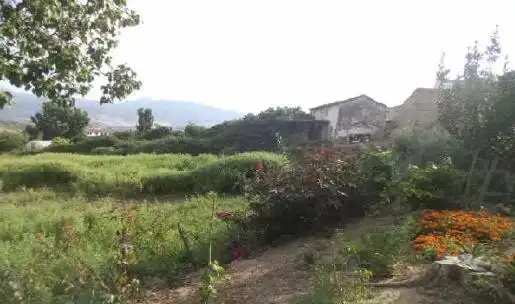 Terreny rústic en venda a Algodonales