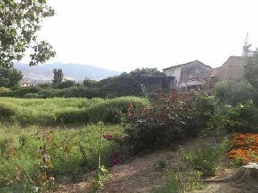 Terreno rustico in vendita a Algodonales
