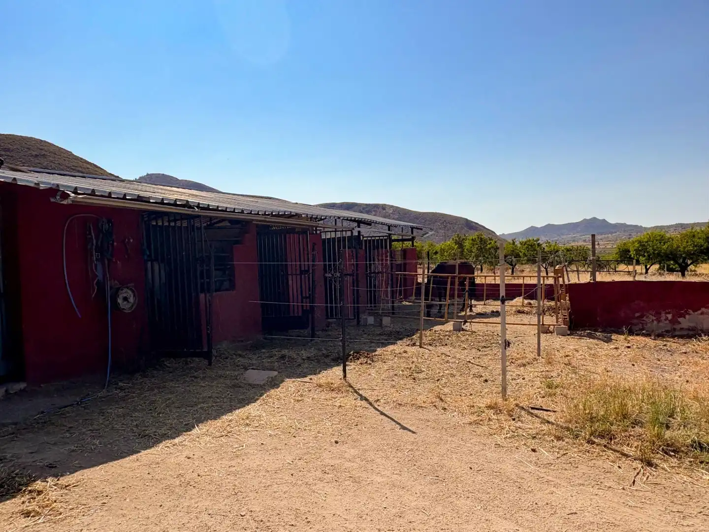 Vista exterior de Casa o chalet en venta en Orihuela con Calefacción, Jardín privado y Terraza