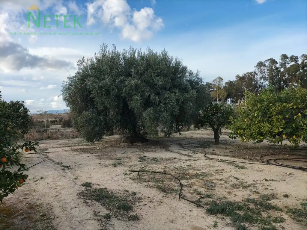 Casa o xalet en venda a Calle Sector Zep-V1 Valientes 1, Los Valientes