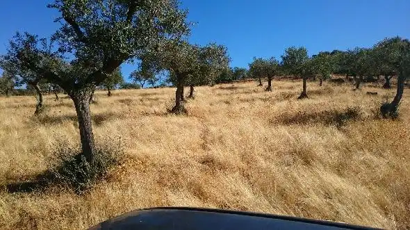 Terreni e lotti in vendita a Miralvalle - Av. Virgen del Puerto - La Data, imagen 5