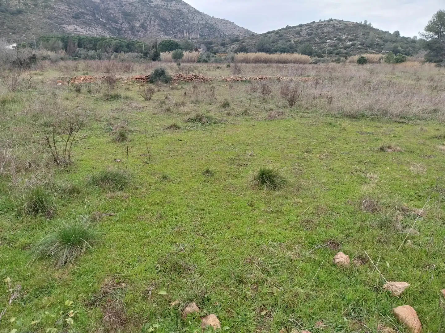 Rural land for sale in Partida la Falaguera, imagen 2