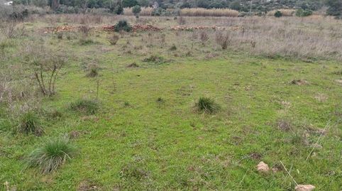 Terreno rustico en Barx, immagine 2