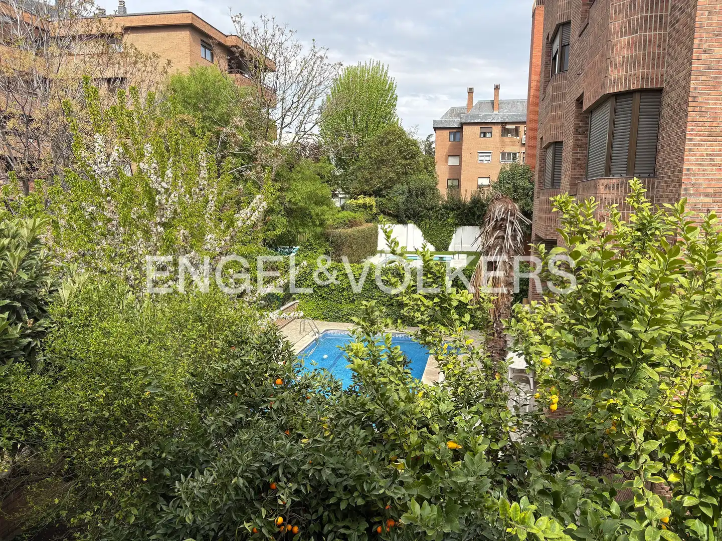 Swimming pool of Flat for sale in Madrid  with Heating, Private garden and Parquet flooring