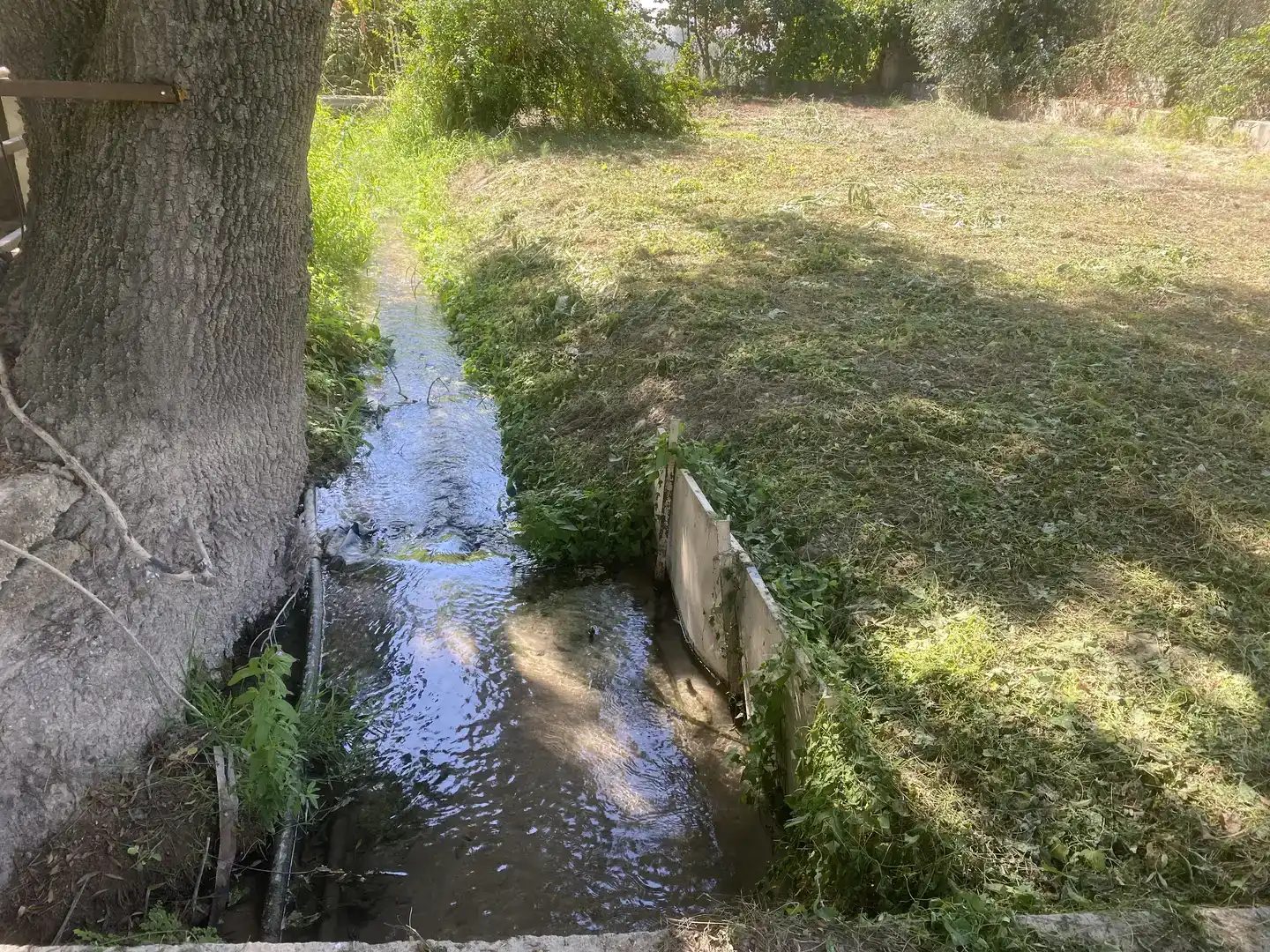 Finca rústica en venda en El Bosque