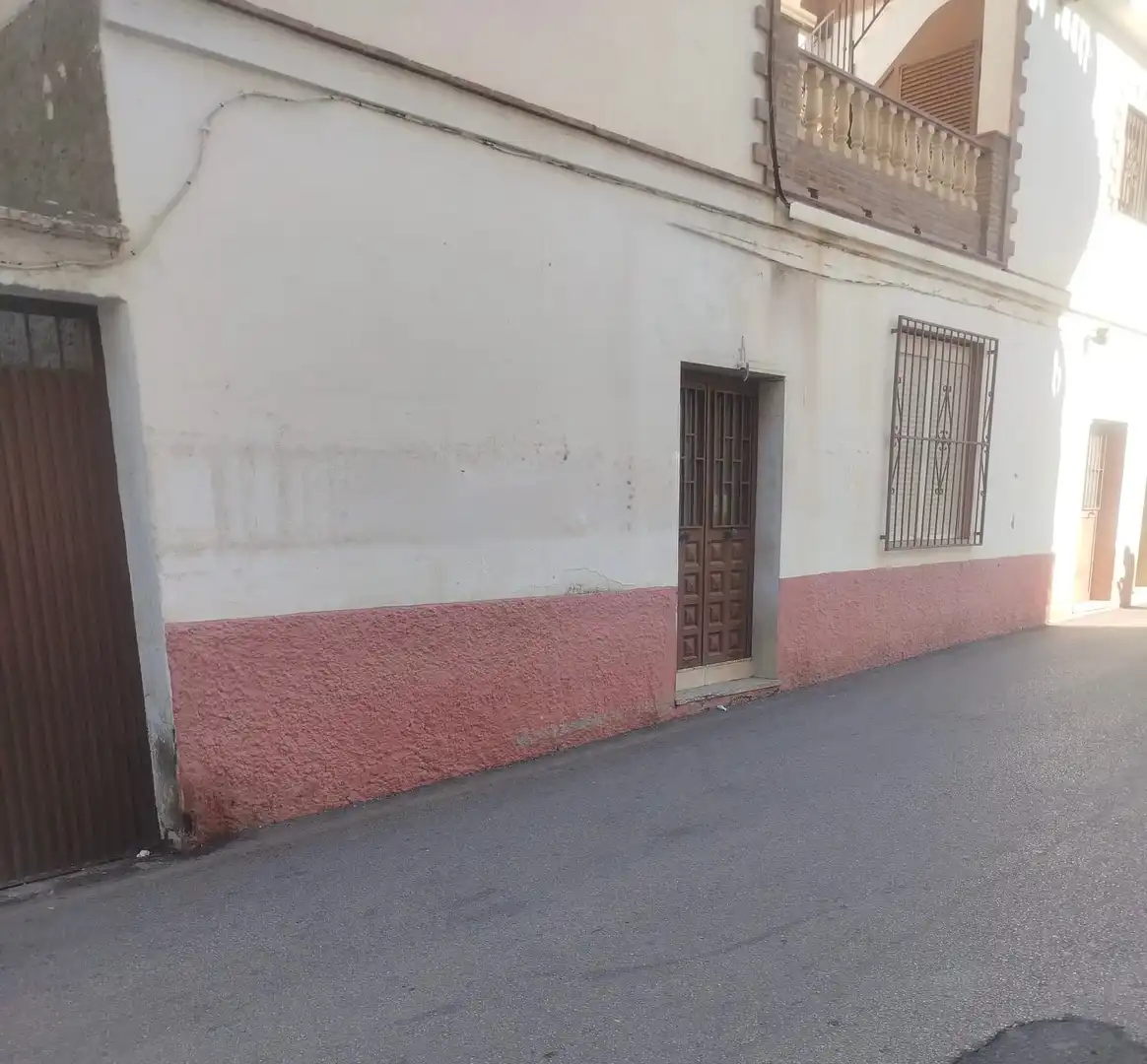 Business premises for sale in Benamocarra
